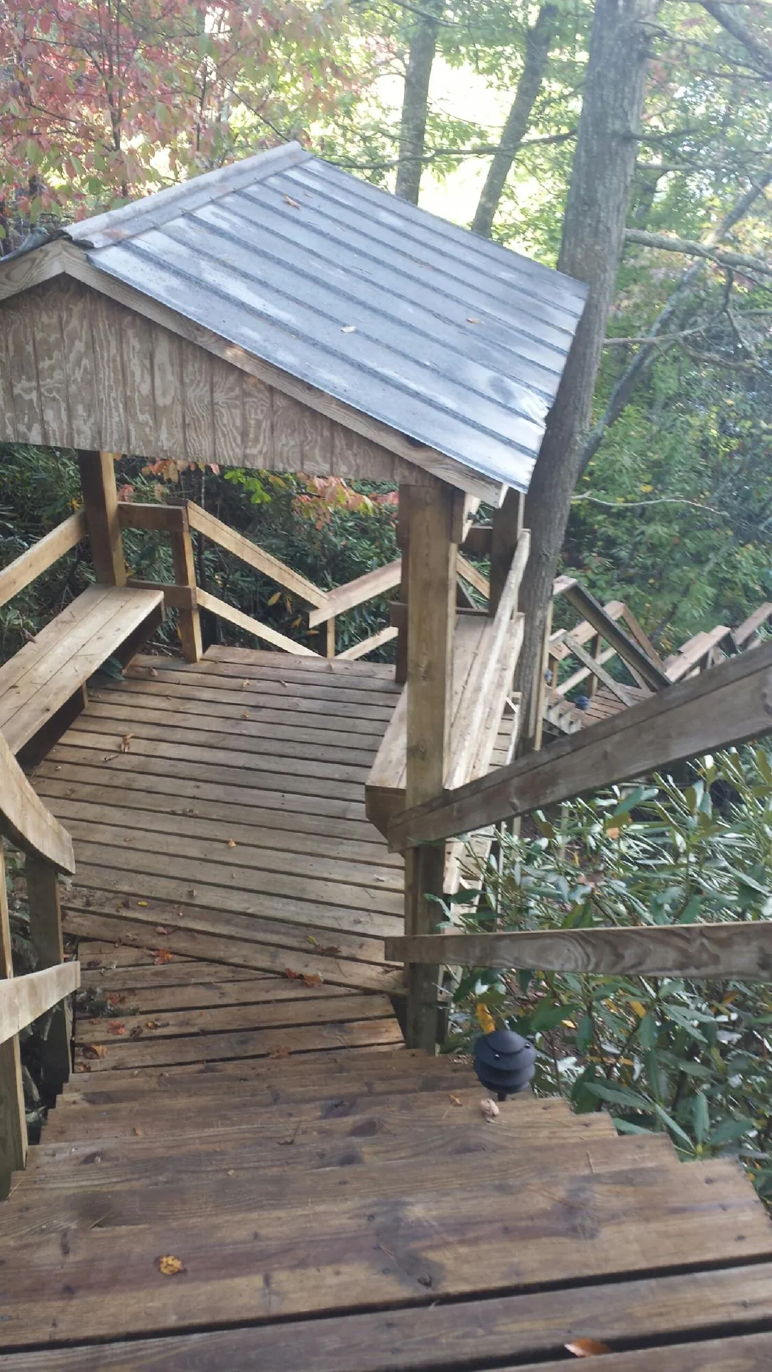 Metal roofed shelter over wooden steps on a wooded walkway — Skylight Repair & Installation work by our crew in Blue Jay